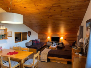 Appartement T2 40m2 au pied des pistes Mâcot-La-Plagne